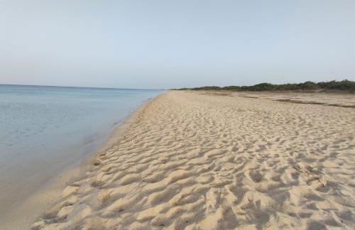 Specchiarica Holiday House - Foto 1