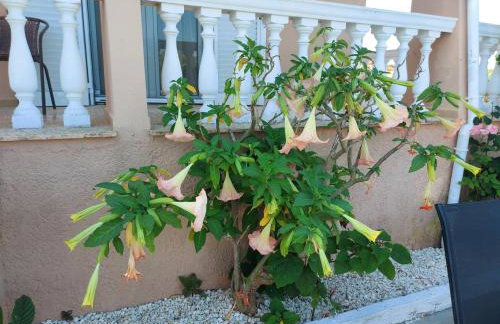 Meliti Villa - Photo 30