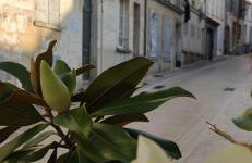 Esope by Kleidos-Ravissant T2 en plein centre de Château-Thierry - Foto 35