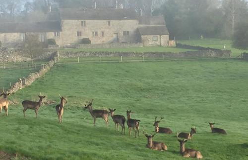 Derbyshire Cottage for 4, 1 hour per day private pool use - Photo 16