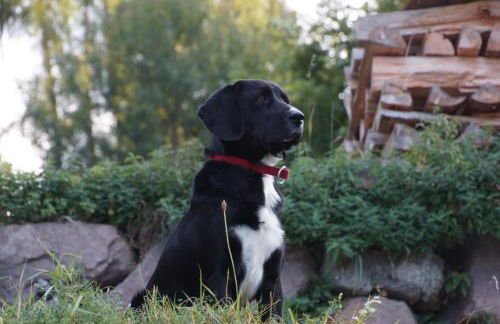 Moarhof Gufidaun - Photo 7