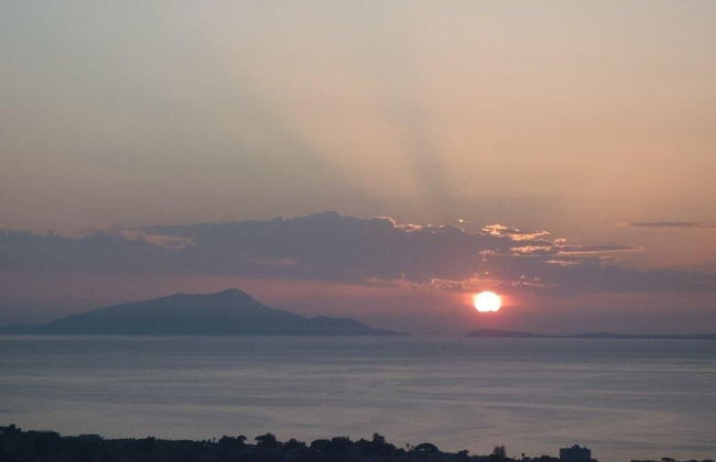 Old Farmhouse Set In A Citrus Grove - Photo 14