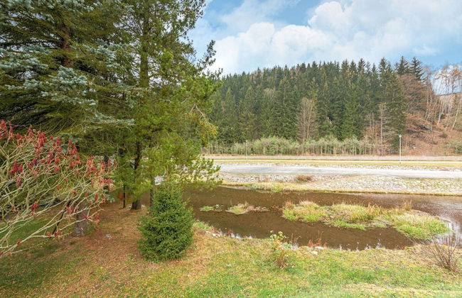 Flat Near the ski Resort in Rauschenbach - Foto 27