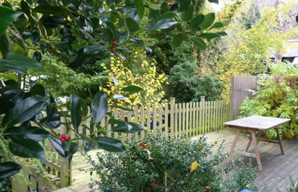 Somerset Lodge, a secret hideaway - Photo 31