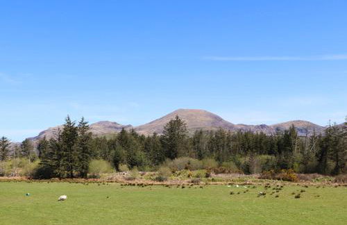 Morfa Lodge - Photo 43