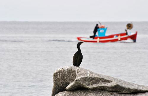 Casa Anna Suites - Foto 28