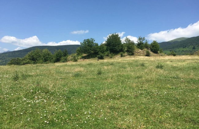 Castelvecchio Family Retreat - Photo 33