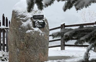 DILIA Chalets & Apartments - Foto 4