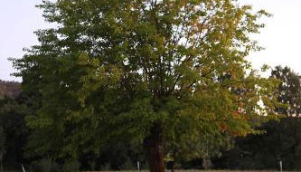 Ardeche - Gites Objectif Evasion - Foto 5