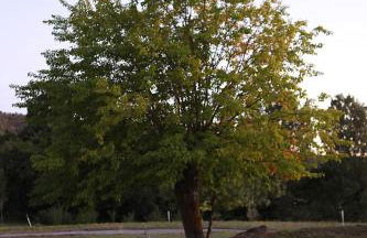 Ardeche - Gites Objectif Evasion - Foto 5