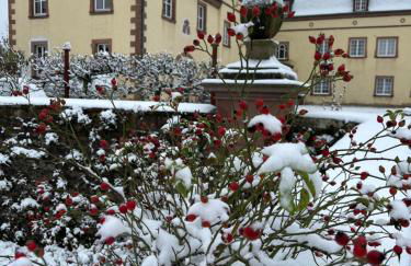 La Maison im Park von Schloss Schmidtheim - Foto 28