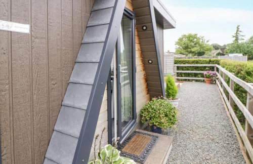 Alstroemeria - Photo 14