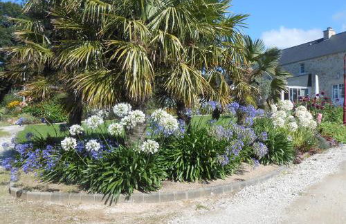 Maison Brix - Foto 29