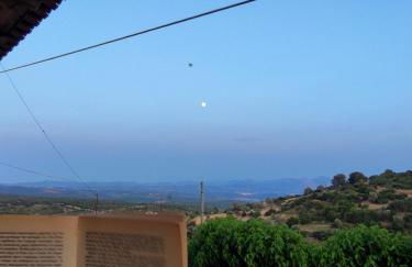 Ανέμη - Foto 14