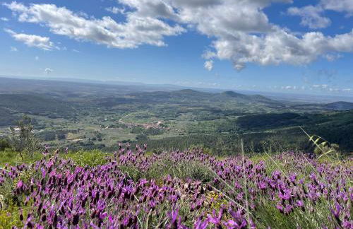 Casa Sierra de Gata - Apartamento Rural - Foto 15