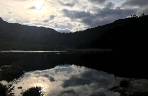 Snowdonia Holiday Lodges - Photo 14