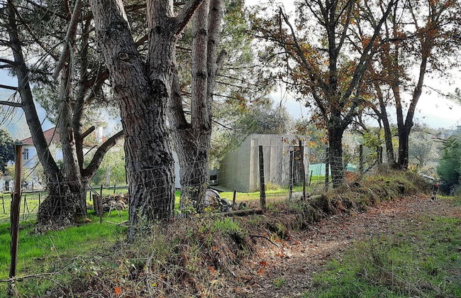 Adore Portugal Bungalow - Photo 10