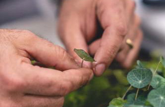 Casena Mongerrati - Foto 64