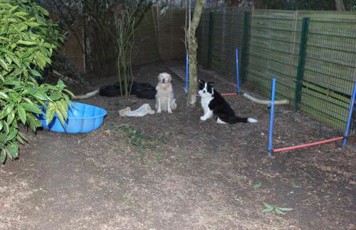 Ferienwohnung Fellnasen WG - Foto 33