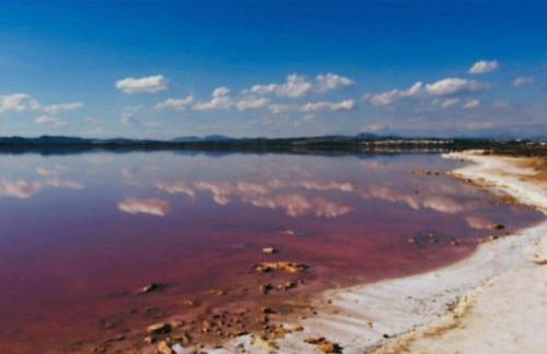 NEW! Romantic house at red lake in Torrevieja! - Foto 55