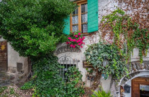 Agritur Solasna - Foto 18