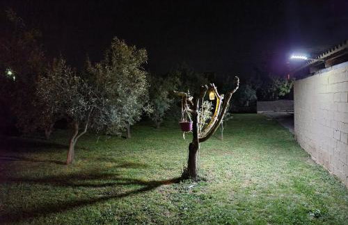 Αυλή της Ελιάς - Foto 35