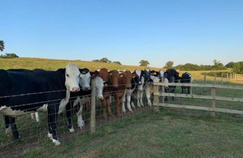 The Coach House - Photo 53