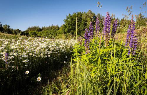 Butterfly Factory - Foto 52