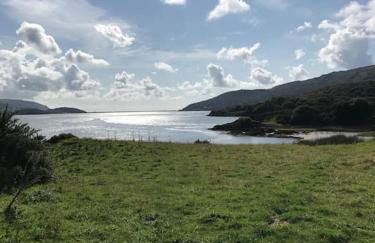 Snowdonia Shepherds Hut + Hot Tub - Foto 26