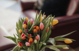 Seabreeze Suite - Foto 6