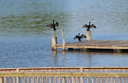 Coastal Retreat by the Bay - Foto 50