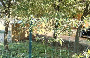 Gite la Picholine_Bourg Saint Andéol - Foto 59