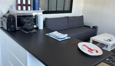 Appartement Design VII Port de Tréboul-Douarnenez - Foto 4