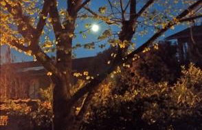 Villa Pampaloni - Intera Villa vacanze con Buffet di benvenuto - Foto 24