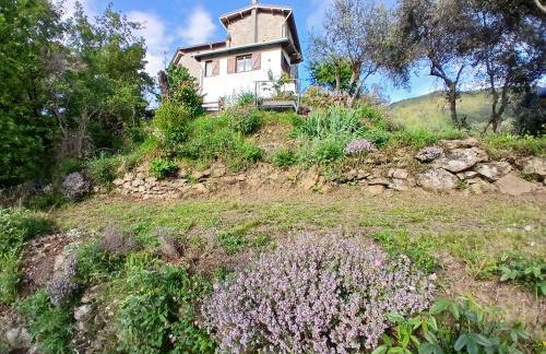 House - Sleeps 5 Scenic Views Fireplace & Garden - Foto 44