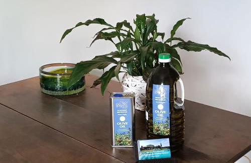 Mas Montbrio Belvedere - Foto 73