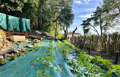 Villa degli Ulivi - Foto 62