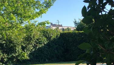 Horta dos Cedros - Foto 3, Garden, Garden view, Other