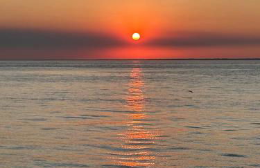 LuLe's House - Foto 22