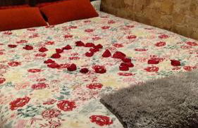 El Refugio Rojo de Ubrique - Foto 47