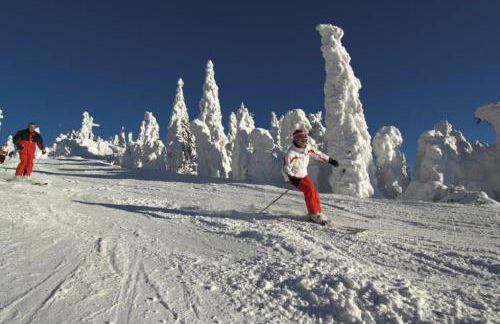 Ferienwohnung Familie Resch - Foto 28