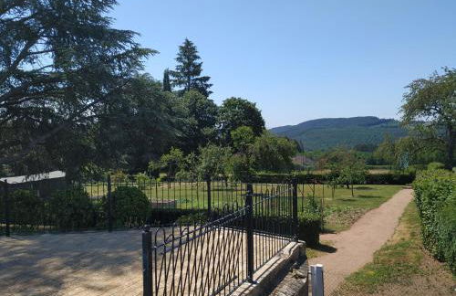 Le Serpolet - Photo 7