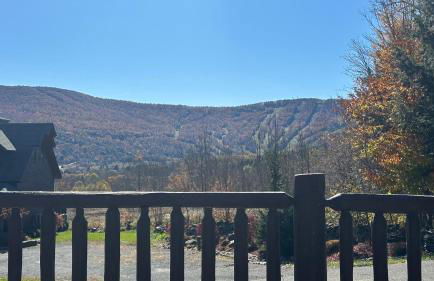 Black Bear Cabin - Foto 19