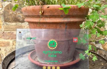 Agriturismo Le Querciole in Val d'Orcia - Foto 38