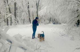 Ferienhaus Lemon Tree - Foto 79