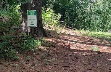 Spacious 5 Bedroom Cabin with Riverview & Black Lake Access - Foto 12