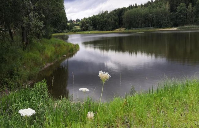 Chalet in Guntersberge Near Ski Trails - Foto 36