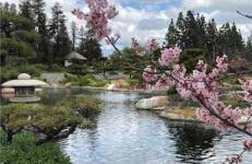 Endless summer in LA *HEATED POOL/HOT TUB/CABANA* - Foto 26