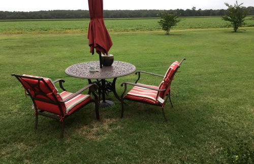 Serene Tiny House with a Big Charm for Glamping in Virginia - Photo 20