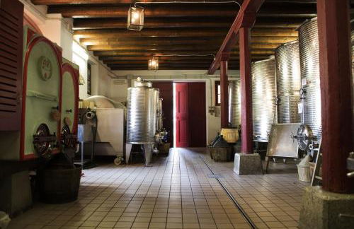 Casali del Picchio - Winery - Foto 40